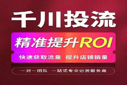 网络推广与竞价广告：双管齐下的策略案例